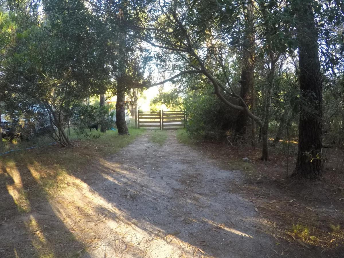 No Estamos Locos Villa Piriápolis Buitenkant foto